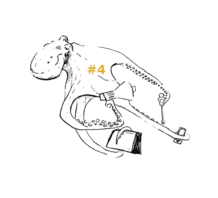 oktopus4